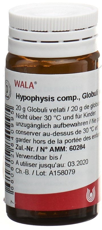 WALA Hypophysis comp. Glob Fl 20 g