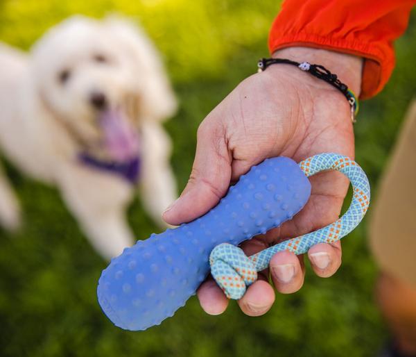 RUFFWEAR® Gummi-Wurfspielzeug Gourdo™