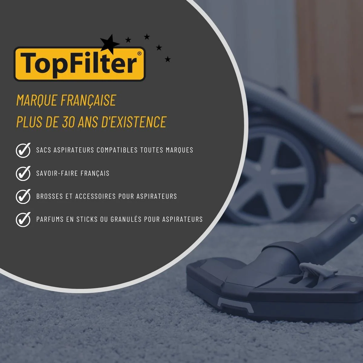 Lot de 4 sacs aspirateur pour Daewoo Premium TopFilter