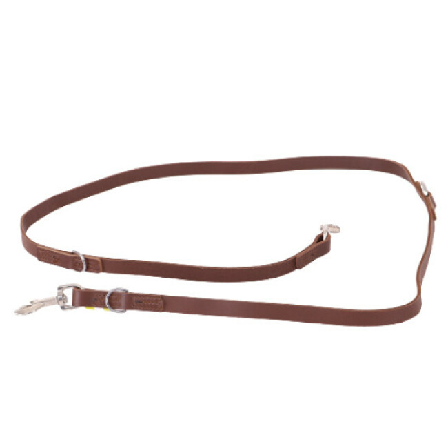 Laisse cuir multiposition pour chien