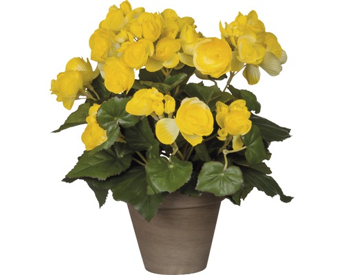 Kunstbloem begonia Ø 25 H 30 cm geel