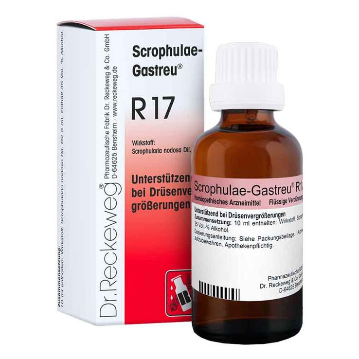 Scrophulae Gastreu R 17 Tropfen zum Einnehmen, 50 ml
