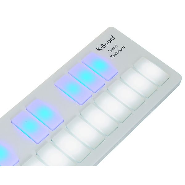 Keith McMillen K-Board C Snow