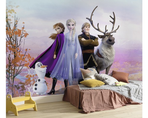 Fotobehangpapier SD4103 Disney Edition 4 Disney Frozen Iconic 8-delige set 368 x 254 cm