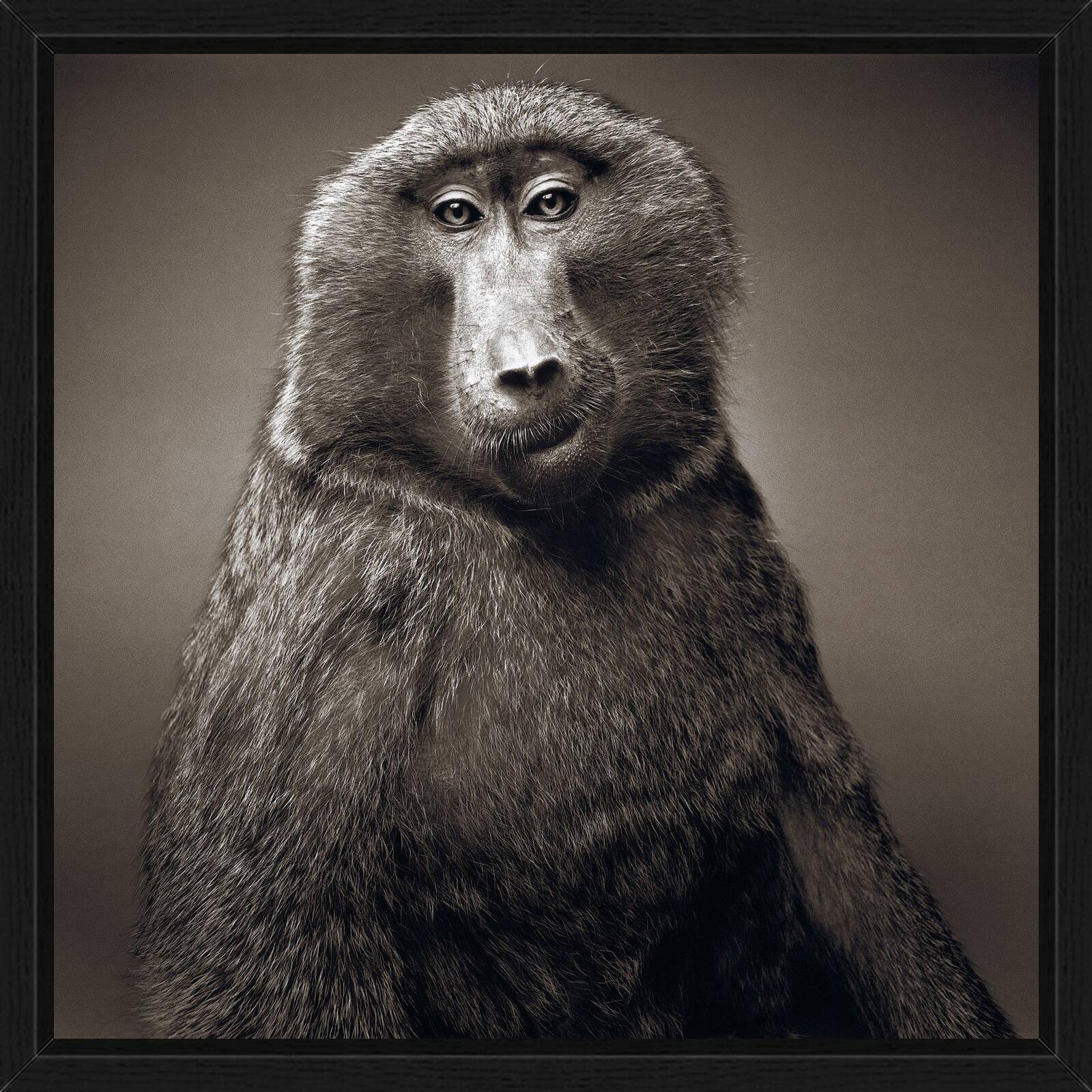 Jeany by Alexander Von Reiswitz - Limited Edition. Edition of: 100. Signed.