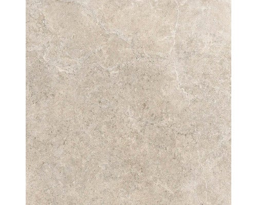 Wand- en vloertegel Jurassic beige 60x60 cm