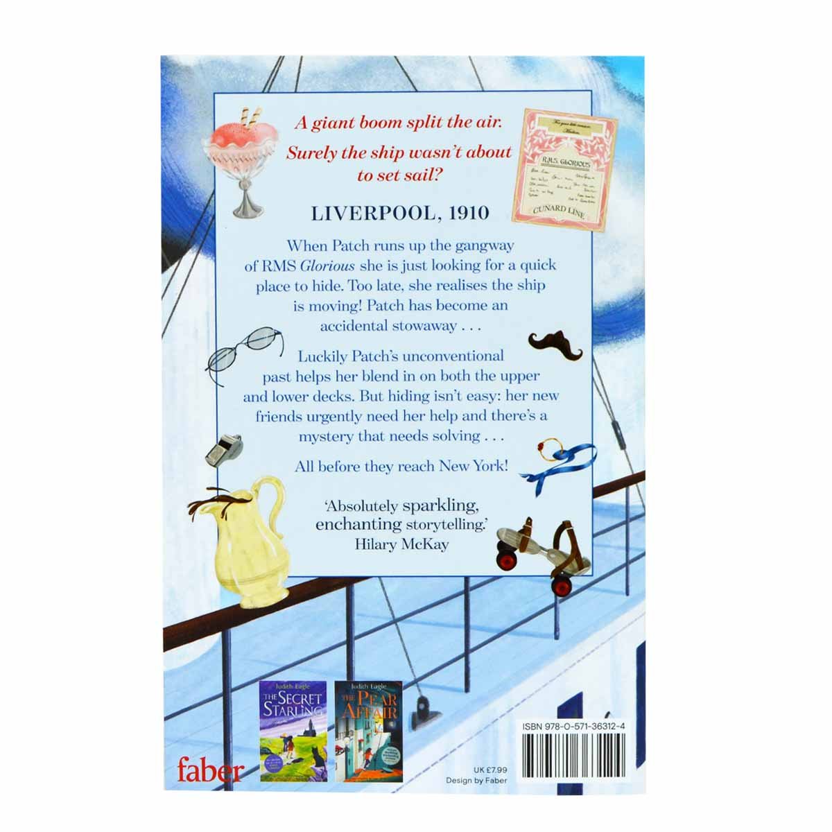 The Accidental Stowaway (Paperback)