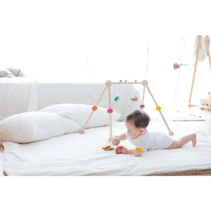 Plan Toys Arche d'activités