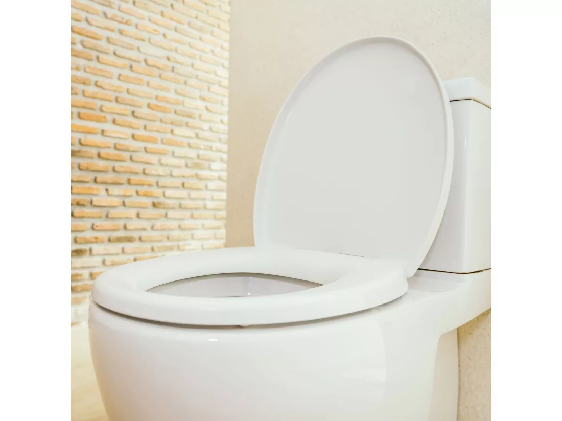 Well Home Abattant de toilette blanc 45x38x45cm