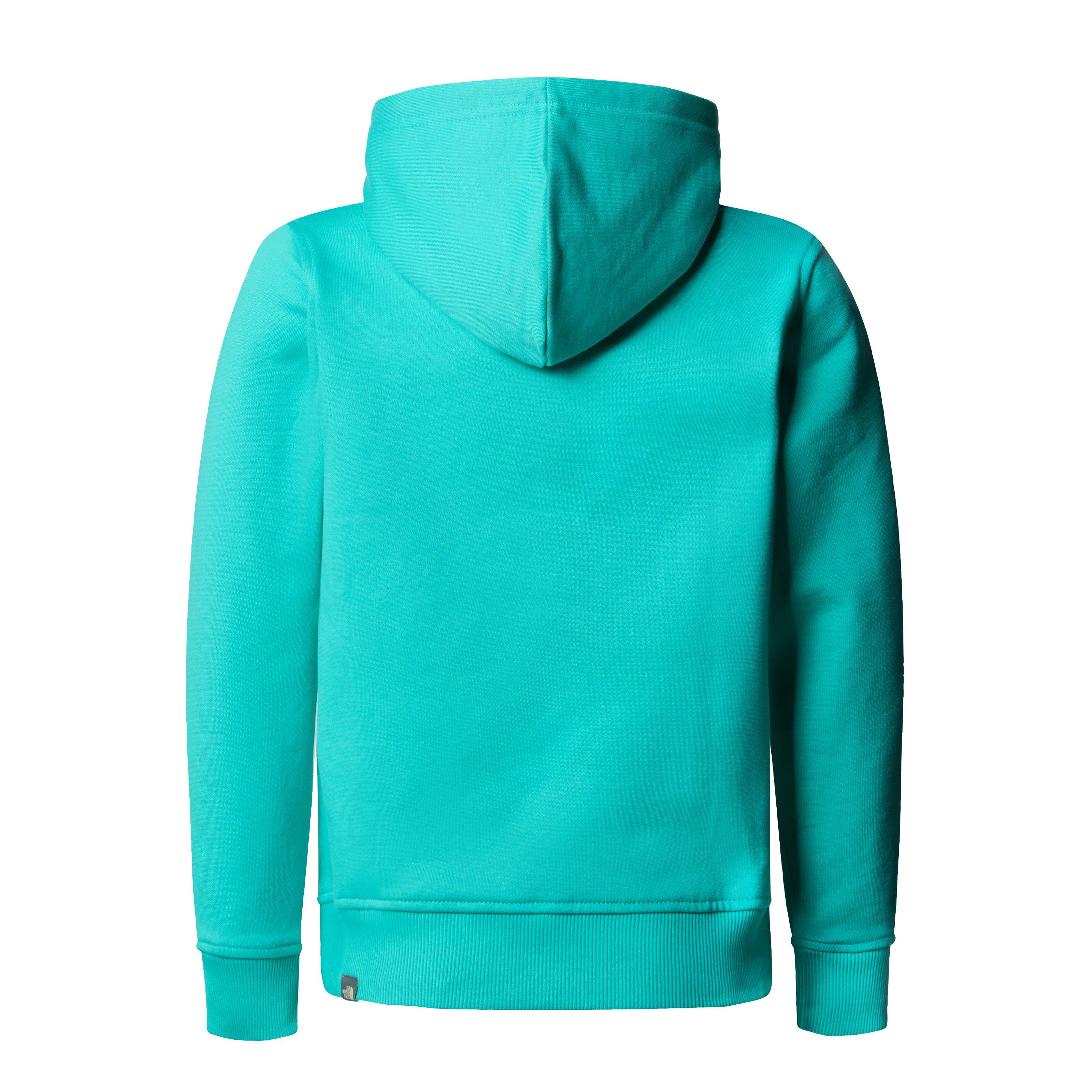 The North Face Drew Peak Hoodie