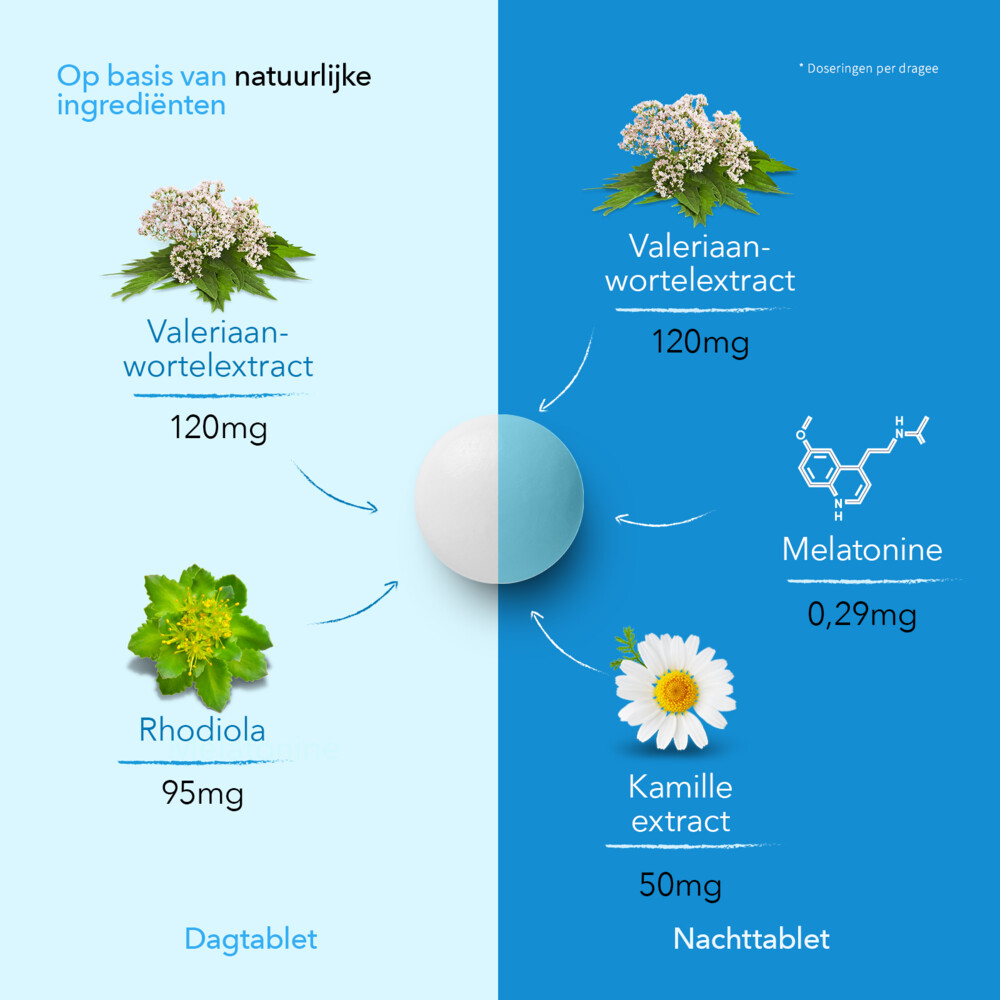 Valdispert Dag & Nacht 60 tabletten