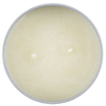 The Candle Company (Carroll & Chan) 100% Beeswax Tin Candle - Green Tea  (8x6) cm