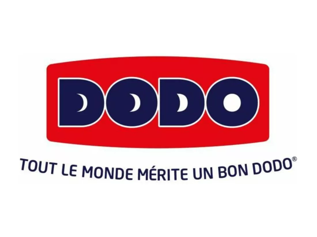 DODO Oreiller Grand luxe Quallofil Allerban 50x70cm