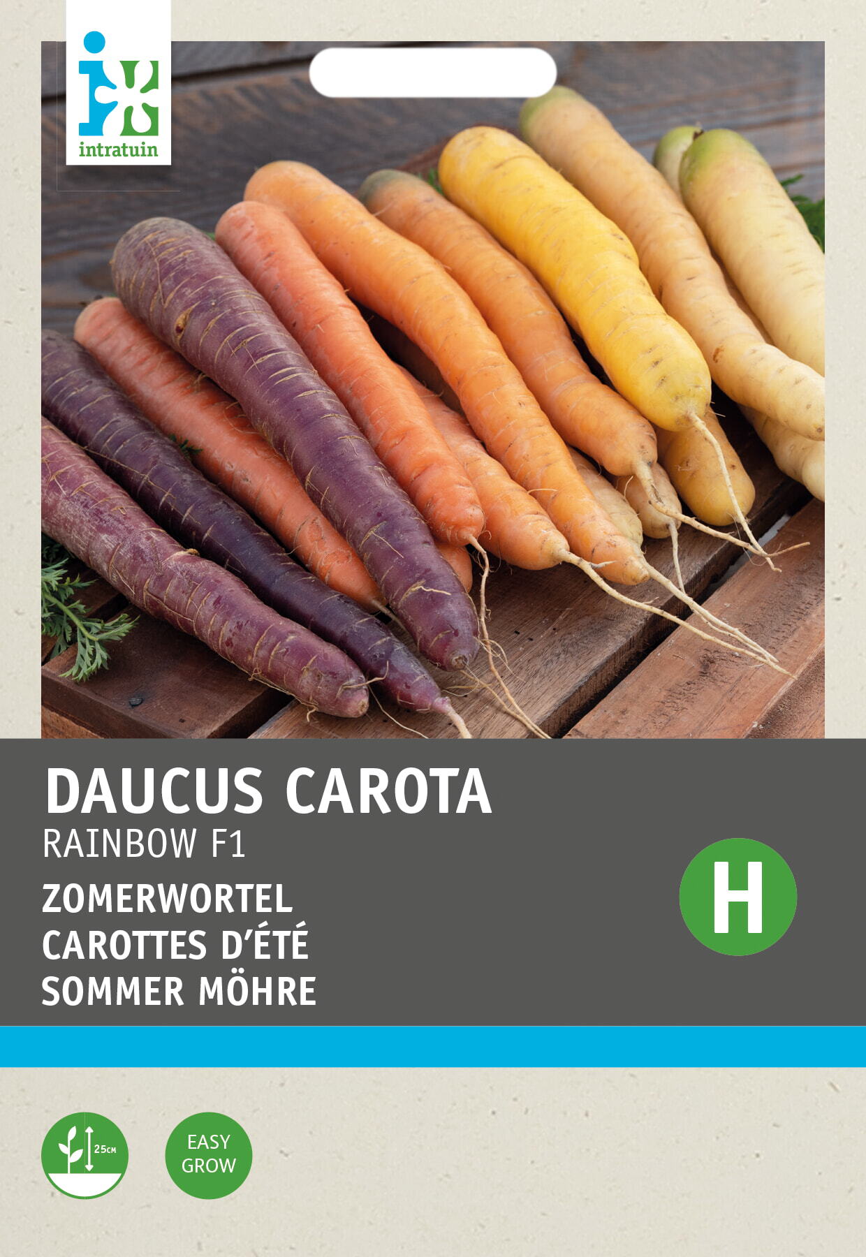 Intratuin groentezaad Regenboog Wortel (Daucus carota var. Sativus)
