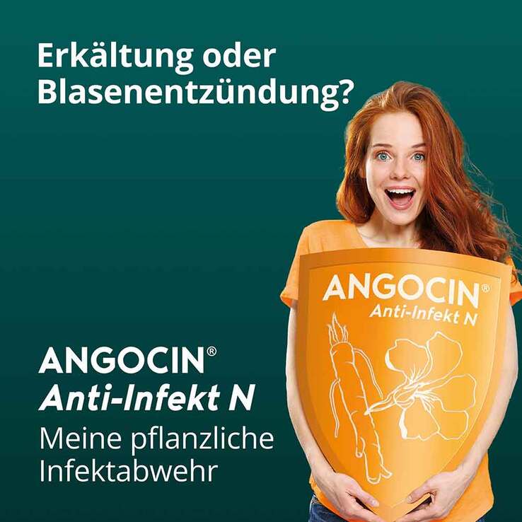 ANGOCIN Anti-Infekt N Filmtabletten, 120 St