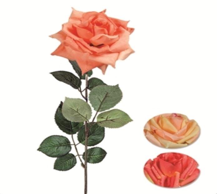TIGE ROSE GOUTTE H.70CM ORANGE