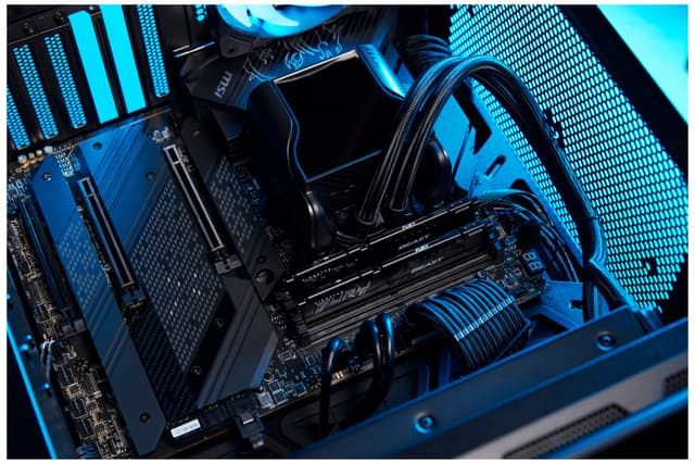 Kingston FURY Beast 64GB DDR5 RAM 6000MT/s CL36 (sort)