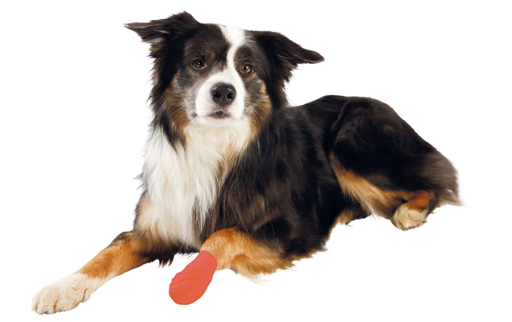 Hunde-Bandagen Color 5 cm x 4.5 m, 4 StückWundversorgung für Hunde mit Verbissschutz durch Bitterstoffe