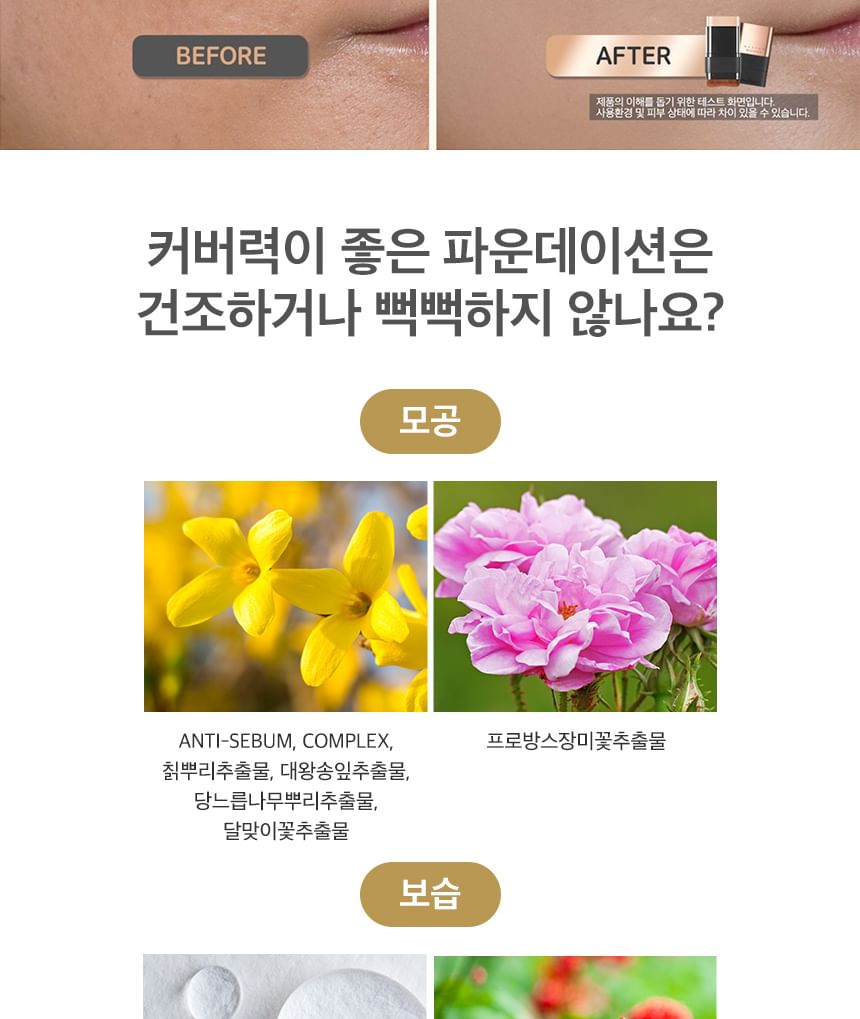 CHOSUNGAH BEAUTY - CHOSUNGAH TM Mega Fit Stick Foundation Master - 2 kleuren