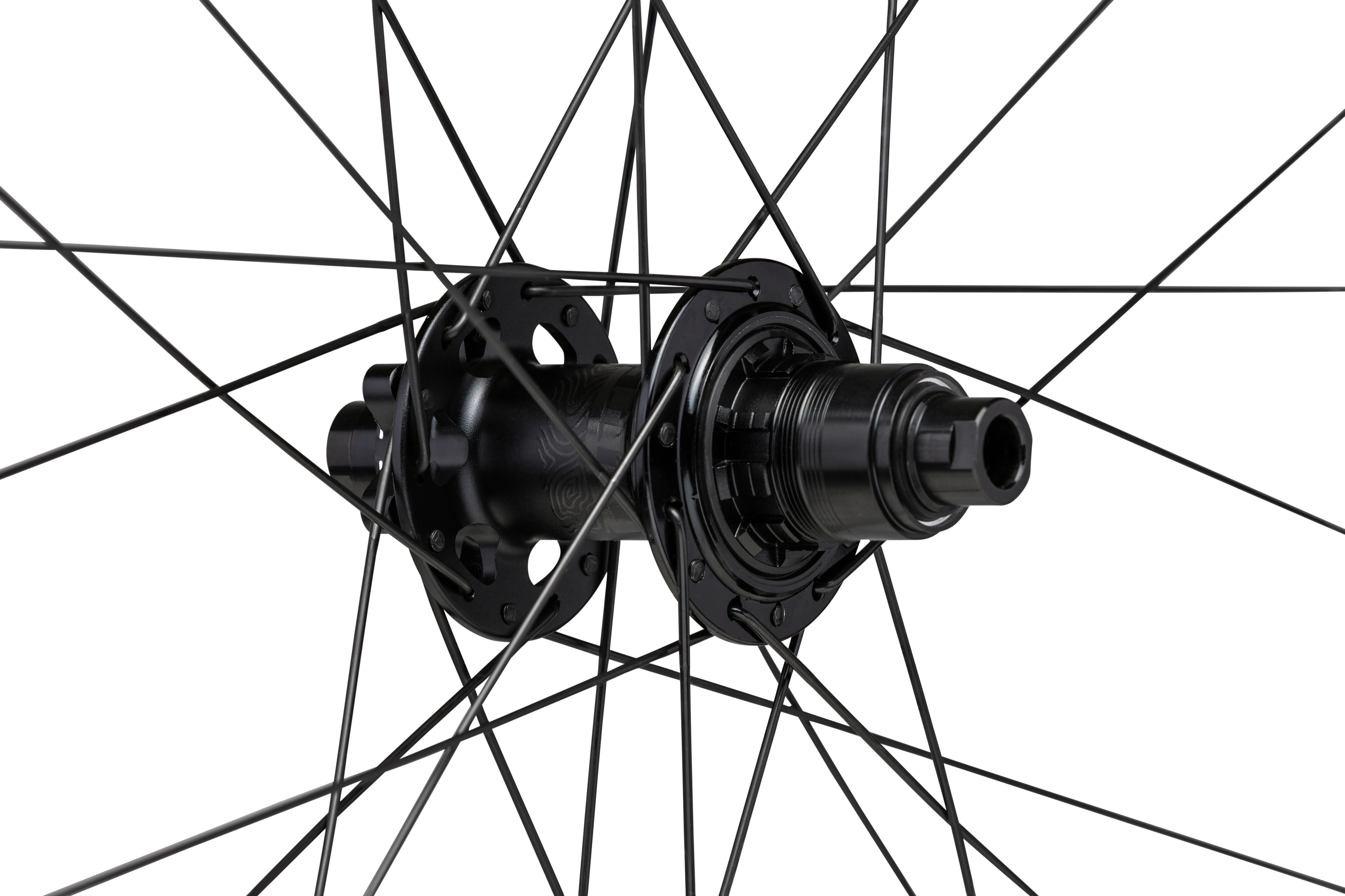 WTB Proterra Light i25