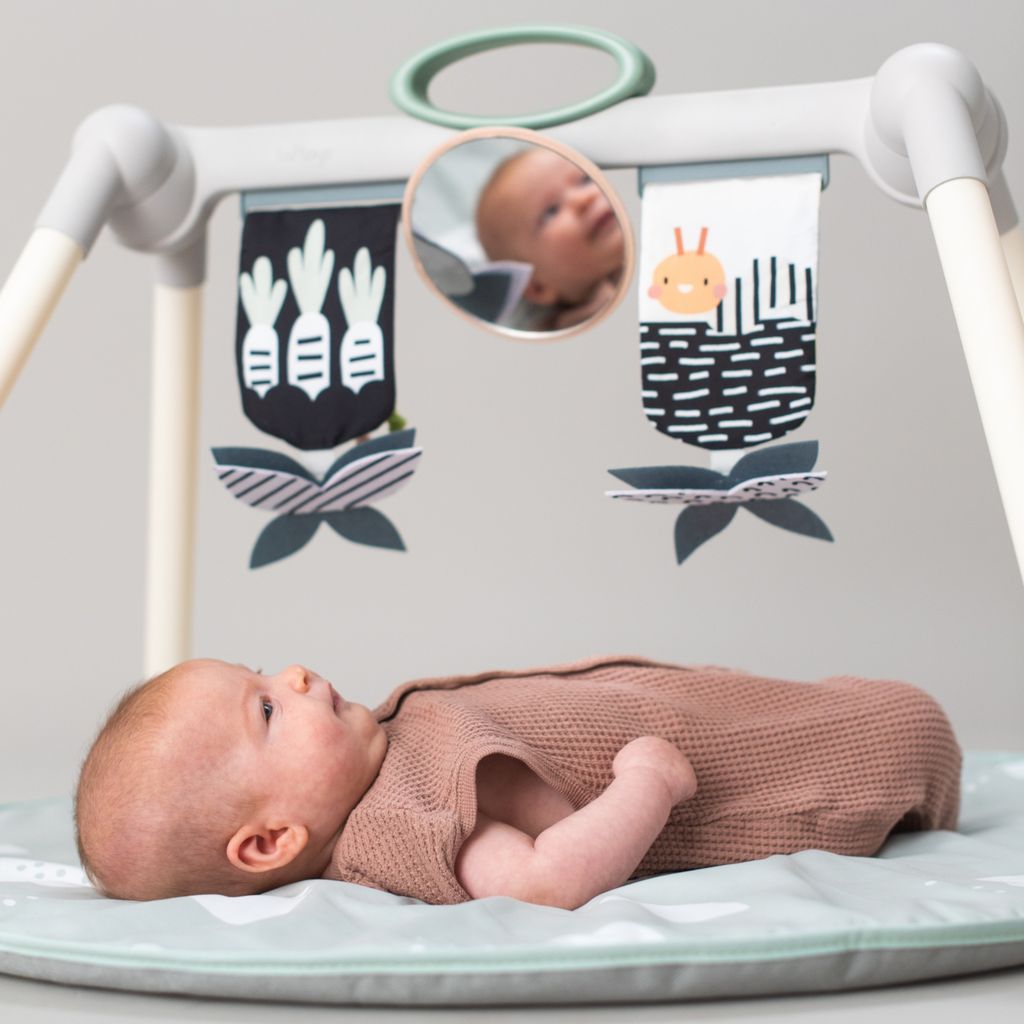 Taf ToysTaf Toys   Spielmatte Urban Garden