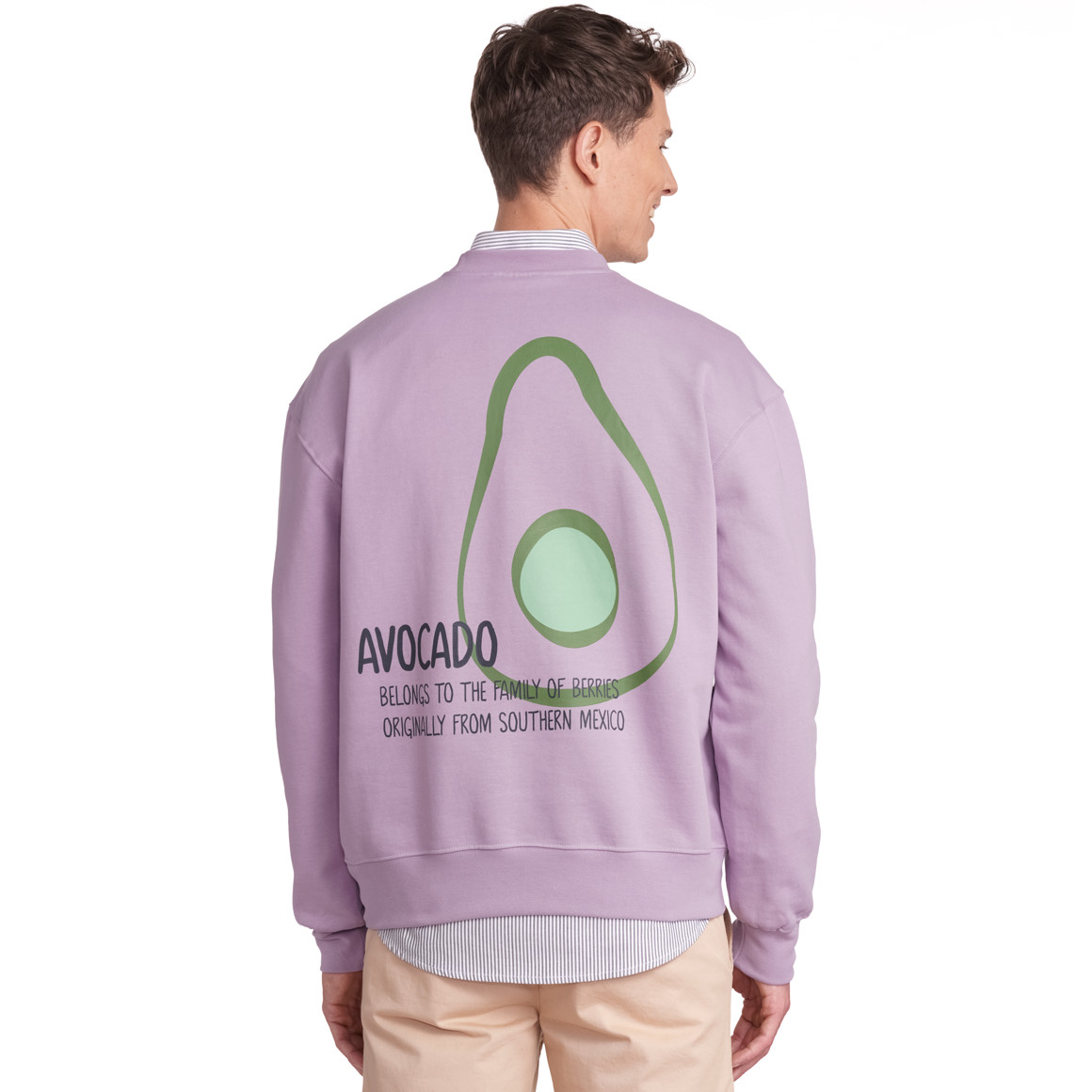 Jonas Nielsen Herren Sweatshirt mit großem Rücken-Print helllila
