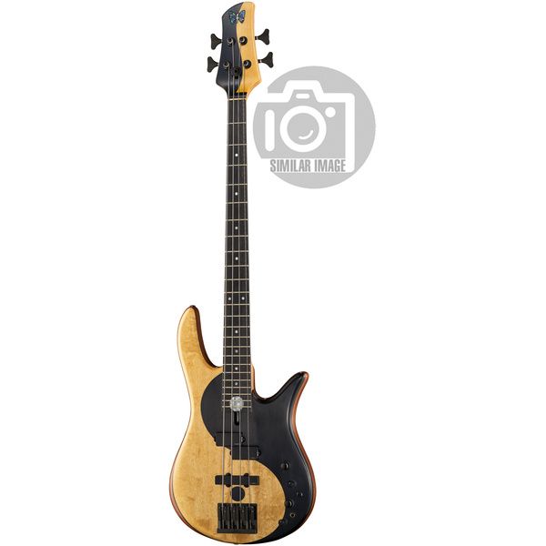 Fodera Yin Yang Standard 4 II