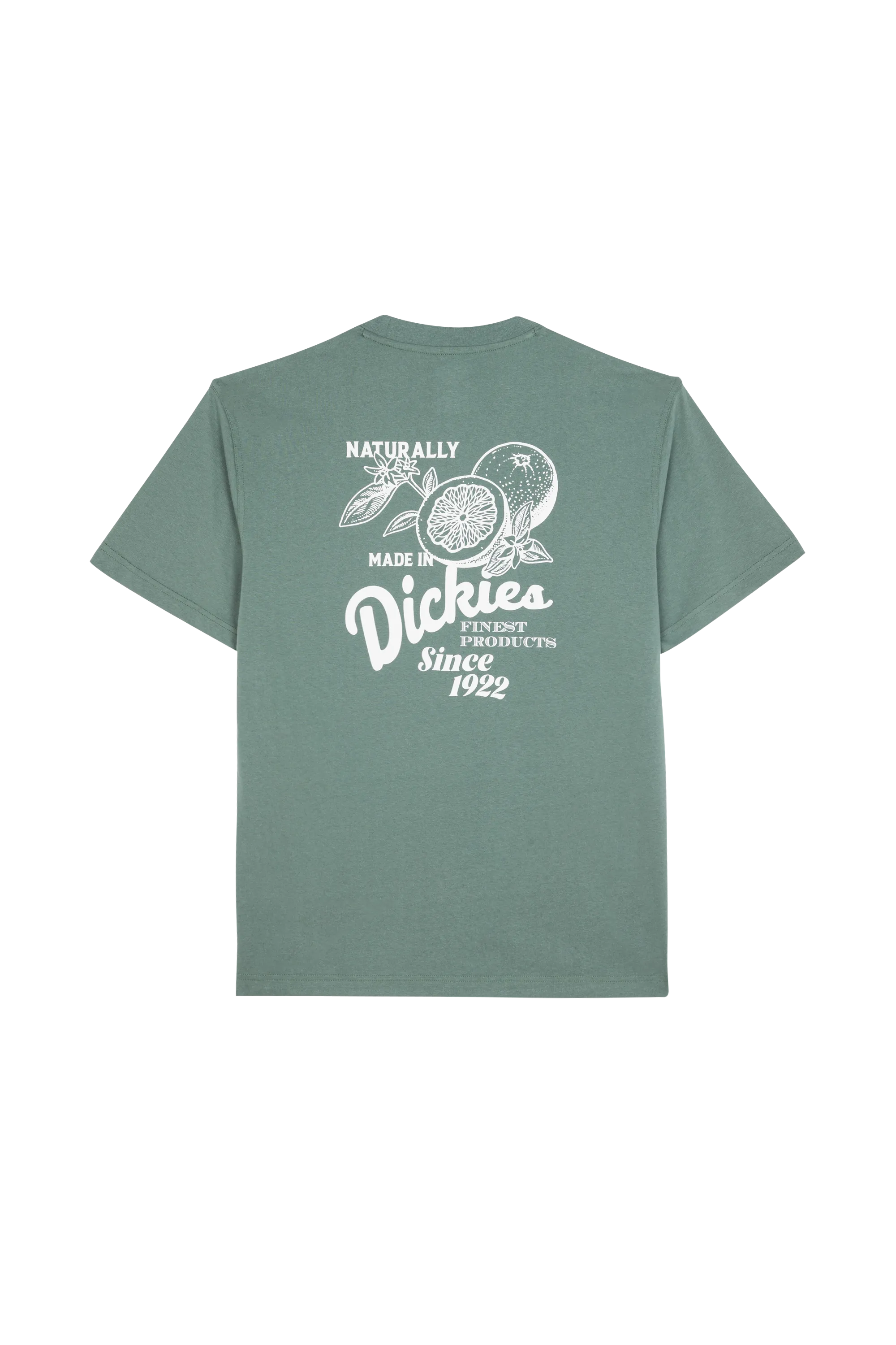 DICKIES T-shirt RAVEN TEE SS Vert
