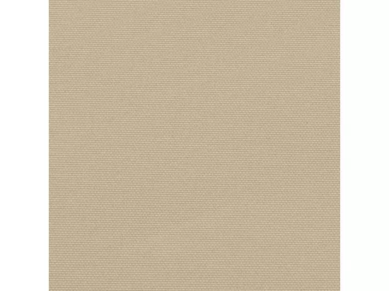 Auvent latéral rétractable beige 120x500