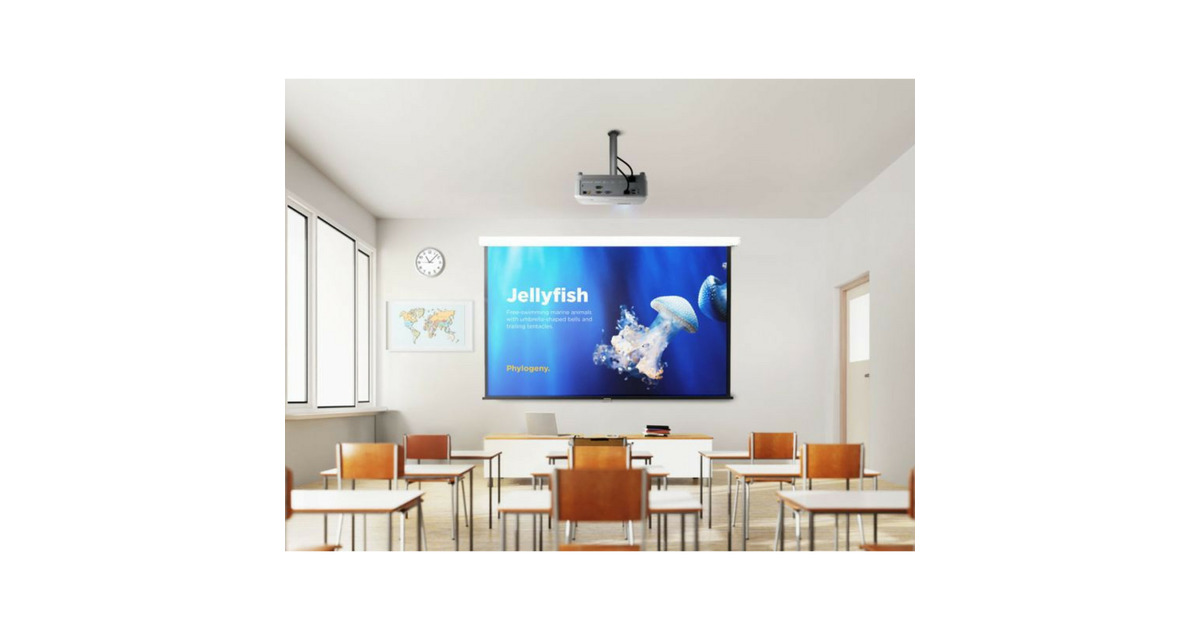 ViewSonicPA504W WXGA DLP-projector  (Wit, 4000 ANSI Lumen, voor zakelijk gebruik en onderwijs)