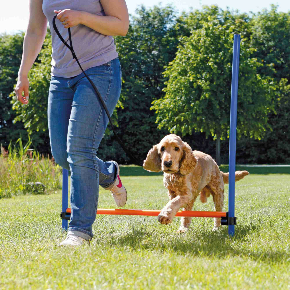 Obstacle agility pour chien 123 × 115 cm, ø 3 cm