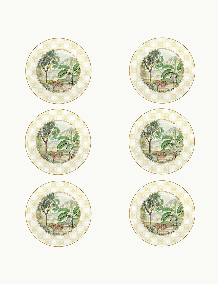 Set of 6 Dessert Plates 19cm CEYLON