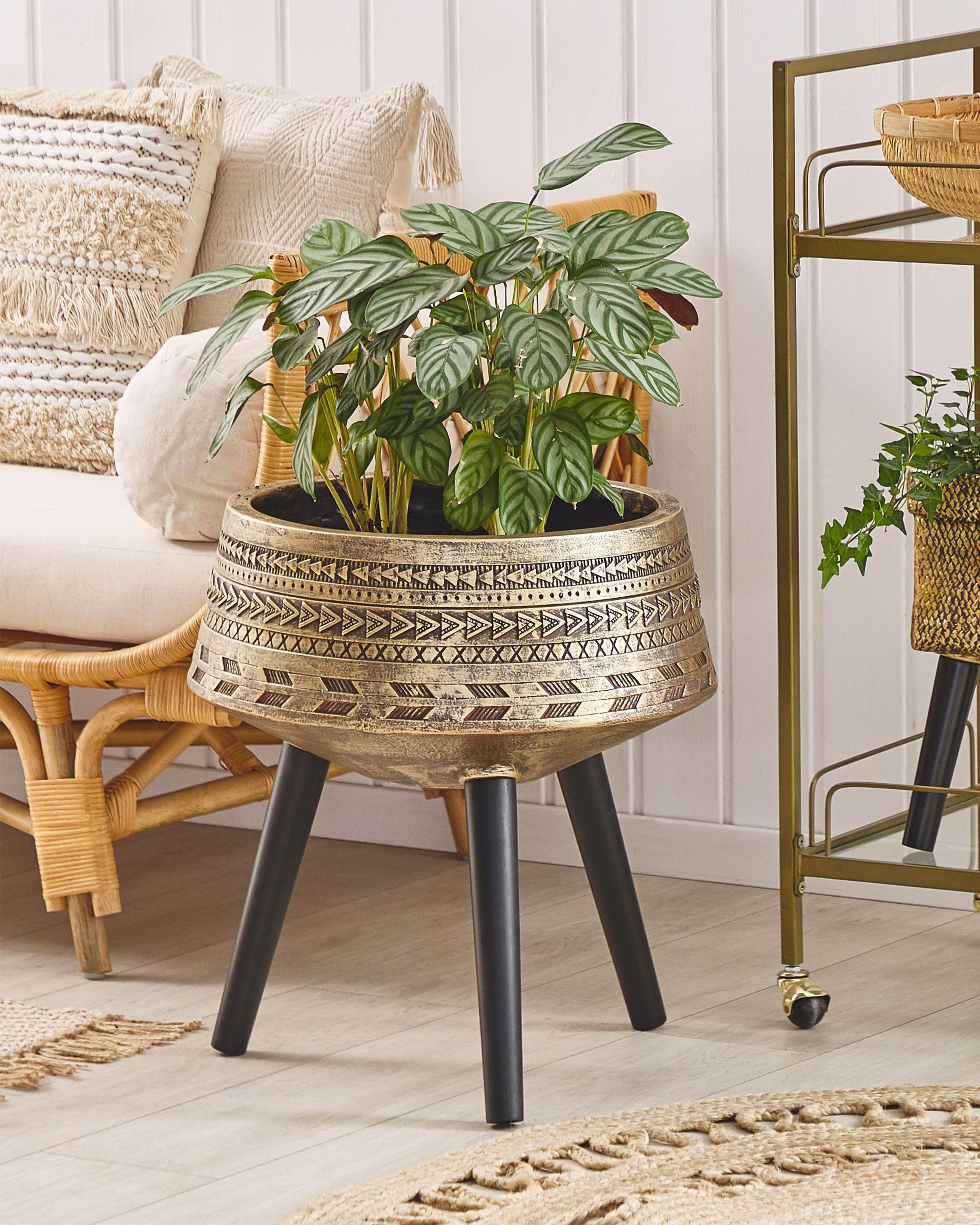 Verhoogde bloempot VARDIANI 50 cm Goud