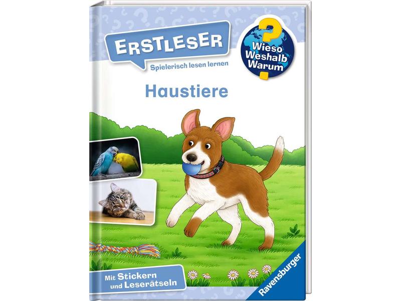 Ravensburger Kinder-Sachbuch WWW Erstleser – Haustiere Lesetraining, Sachwissen und Spielspass in einem!