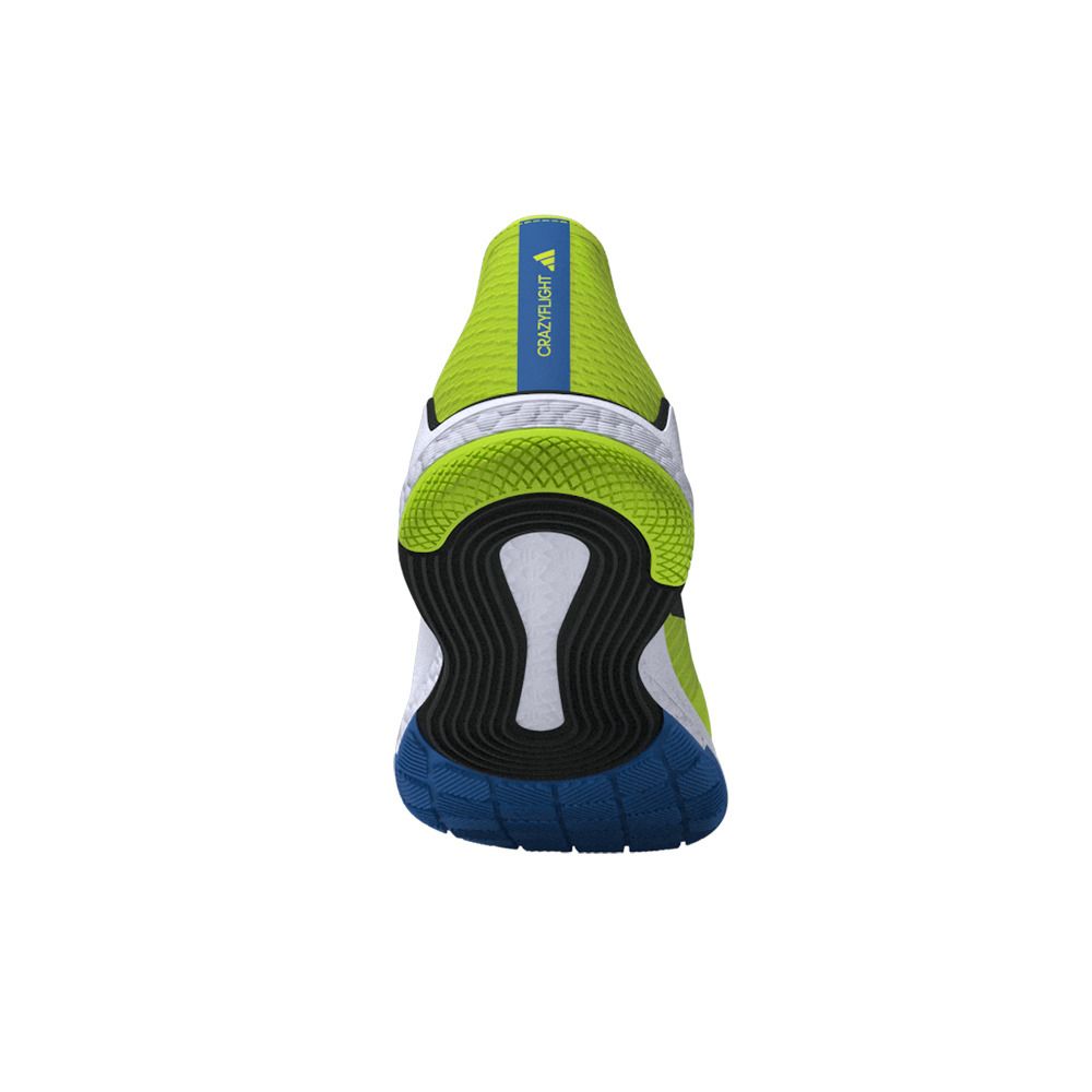 Adidas Performance CRAZYFLIGHT - Chaussures volleyball Homme luclem/cblack/broyal