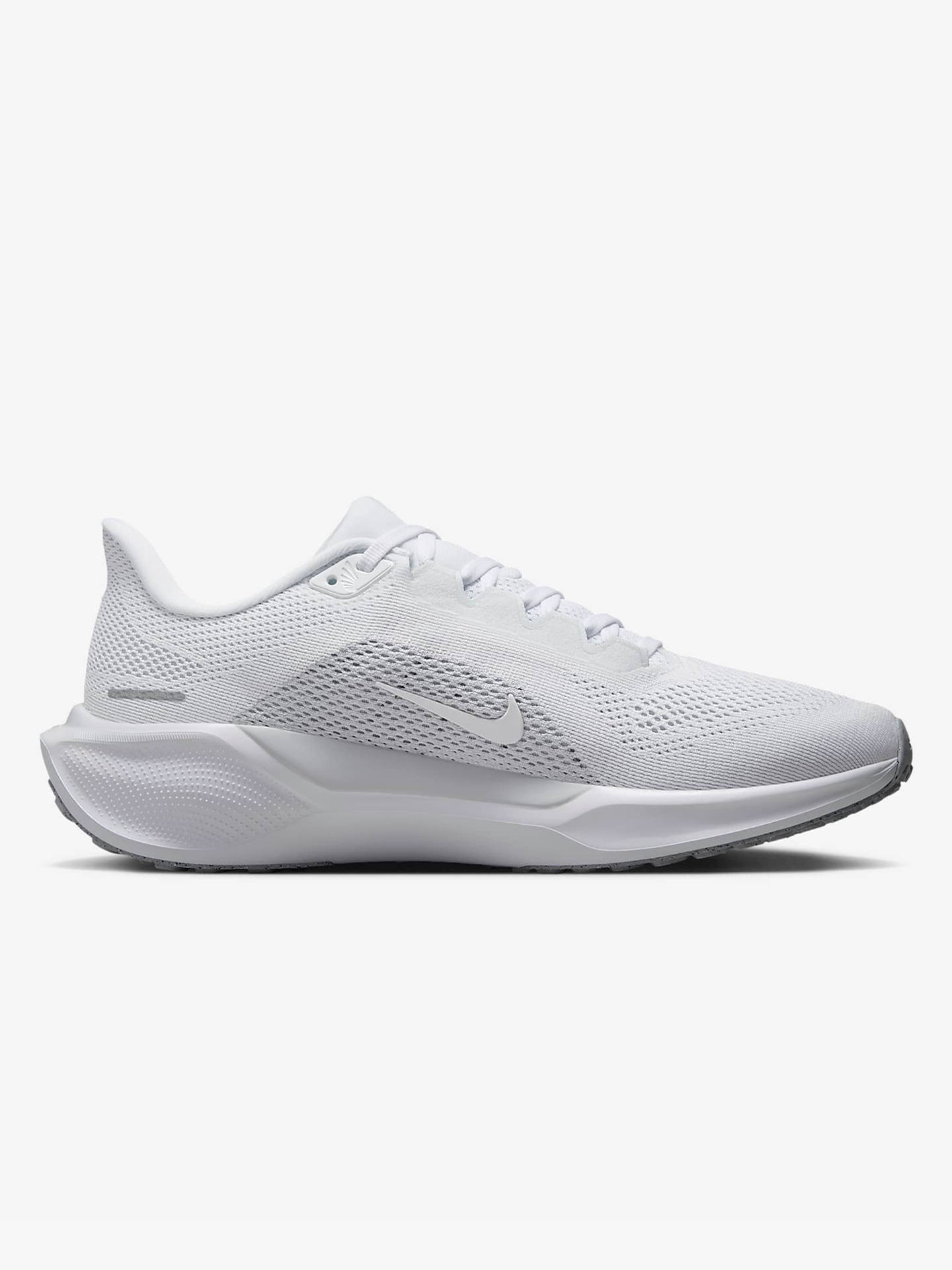 Pegasus 41