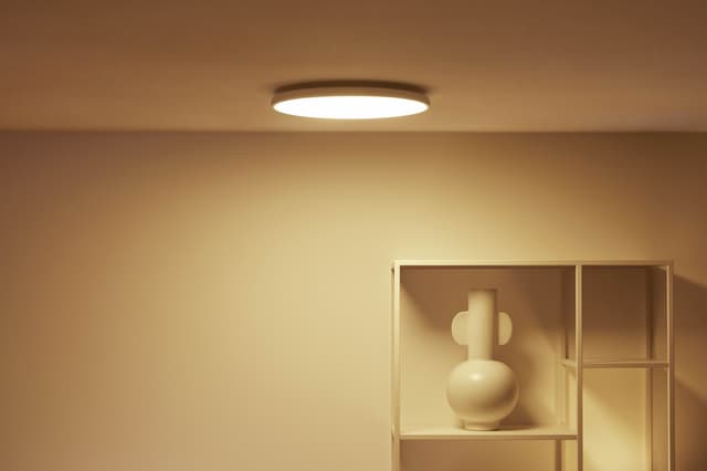 WiZ loftslampe 929003209101