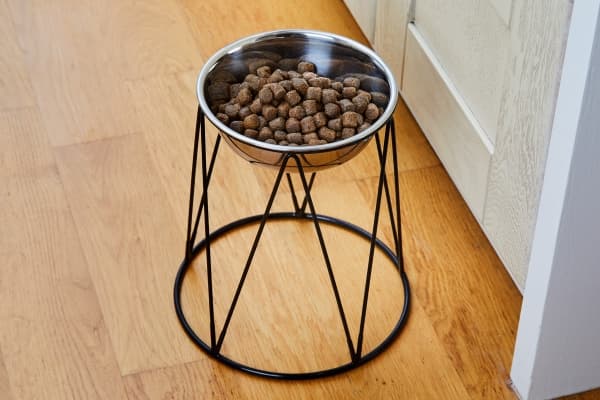 Dogman Menja High Food Bowl