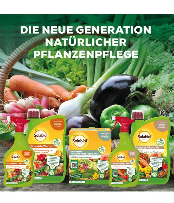 Solabiol® Grundstoff Lecithin Spray,