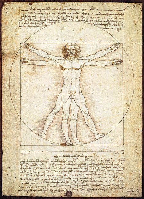 The Vitruvian Man (Puzzle)