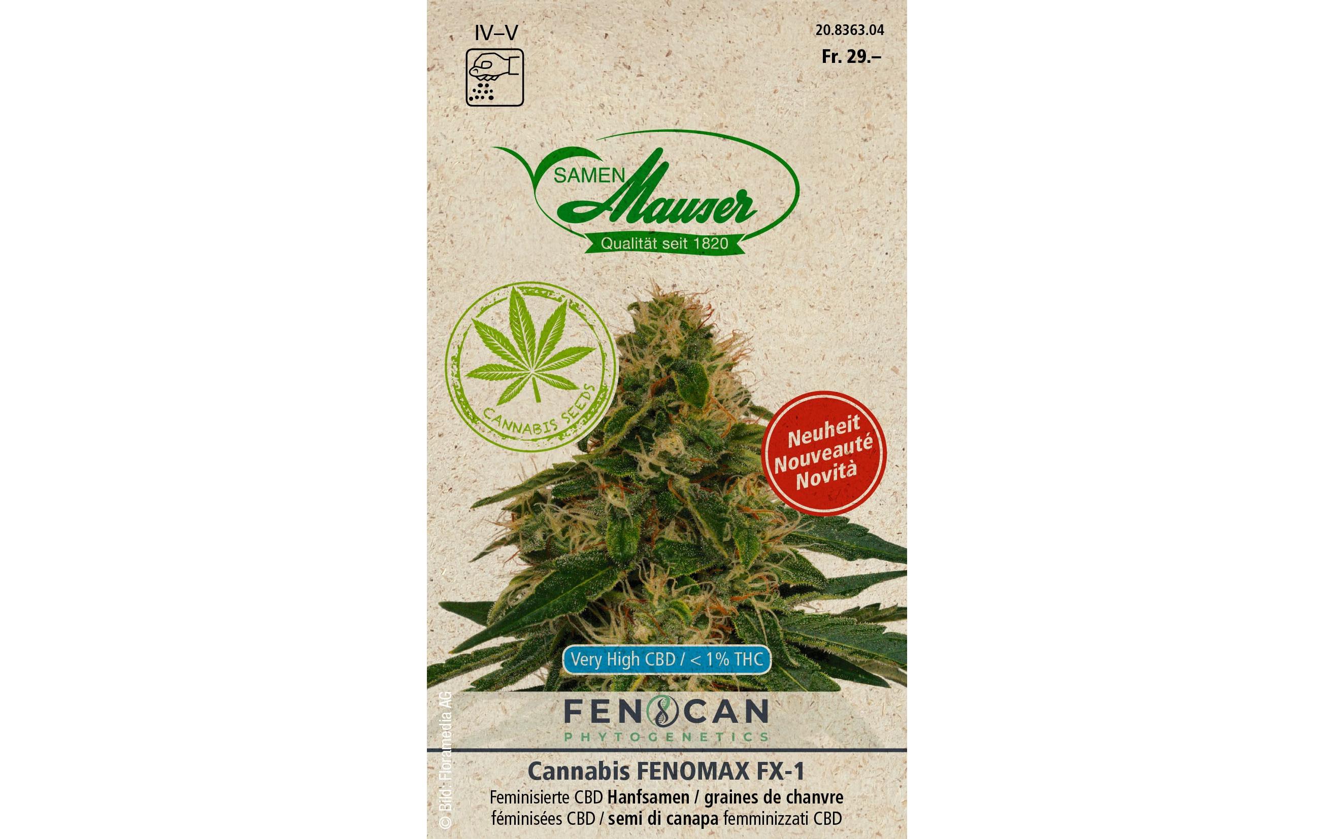 Saatgut Cannabis FenomaxBlumensamen