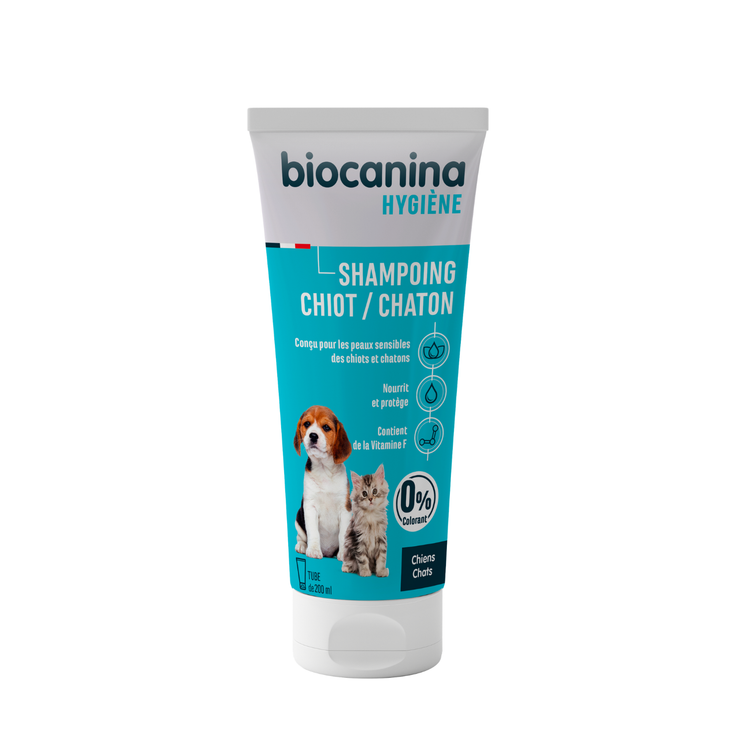 Shampoing chiot chaton