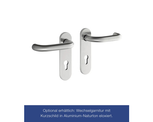 Hörmann multifunctionele kelderdeur met glaspaneel, RAL 7016 antracietgrijs, 1000x2000 mm, omkeerbaar (links/rechts), incl. matglas