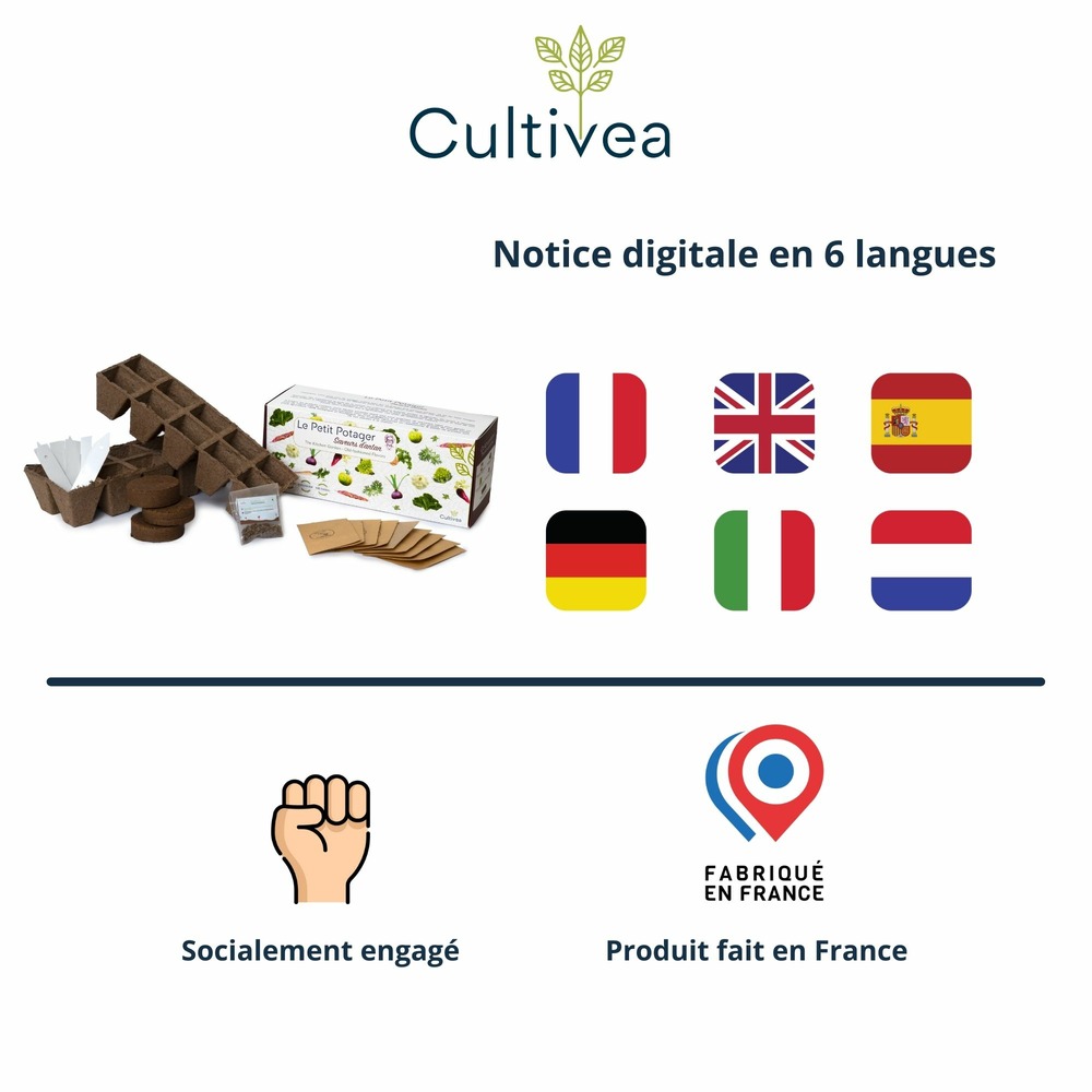 Cultivea le kit prêt à pousser petit potager saveurs anciennes - herbes aromatiques, tomates, chou kale, carotte