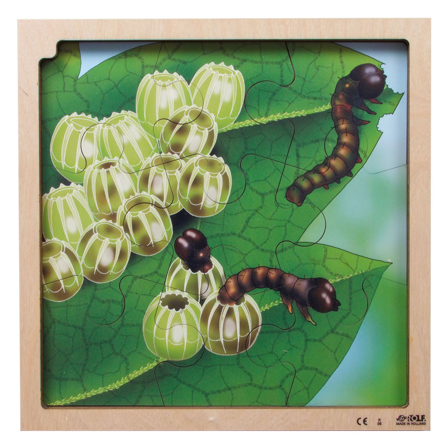 Rolf Connect - Groei en 4 Lagenpuzzel Hout Vlinder, 86st.