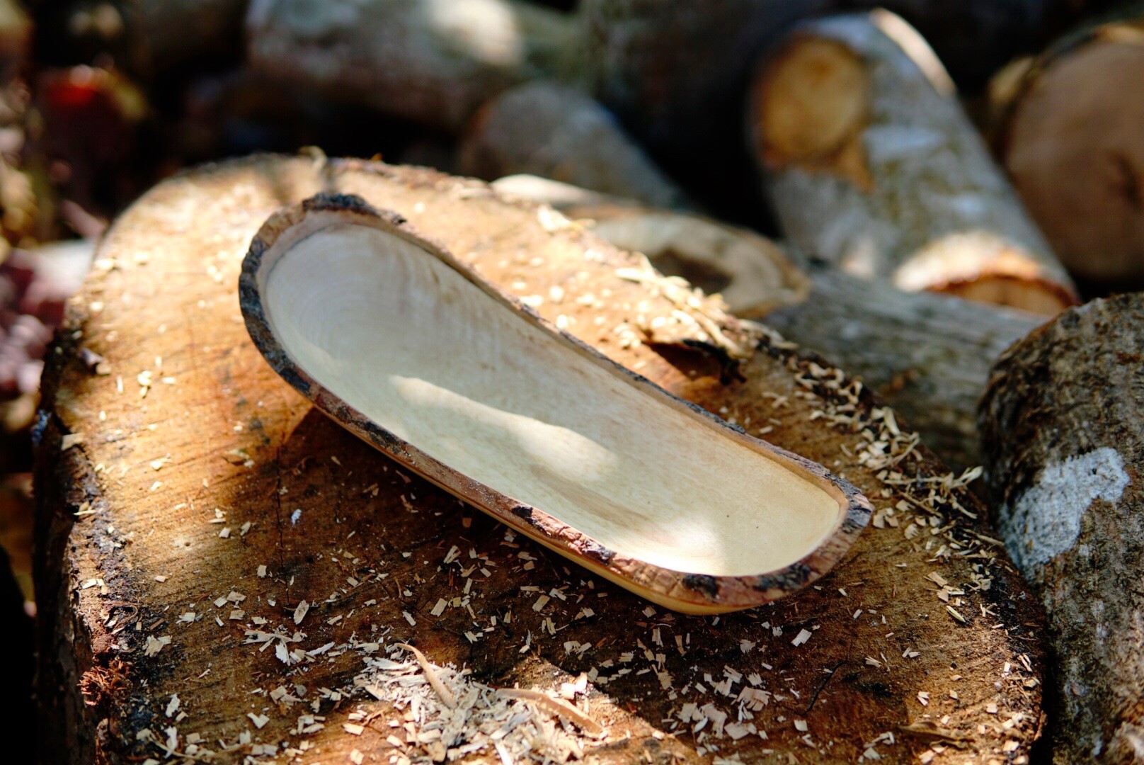 Baumrinden-Schale lang, Mangoholz, L 30 cm, B 11 cm, H 7 cm von fischer's lagerhaus