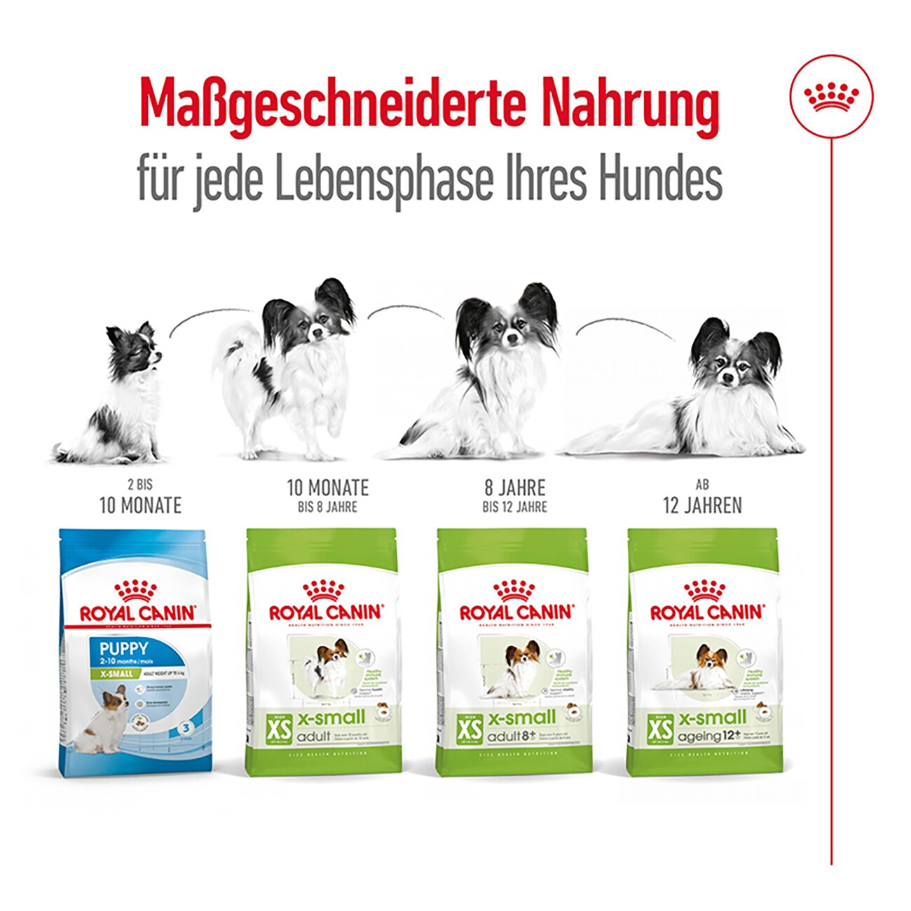 ROYAL CANIN X-Small Adult 8+ 1,5 kg