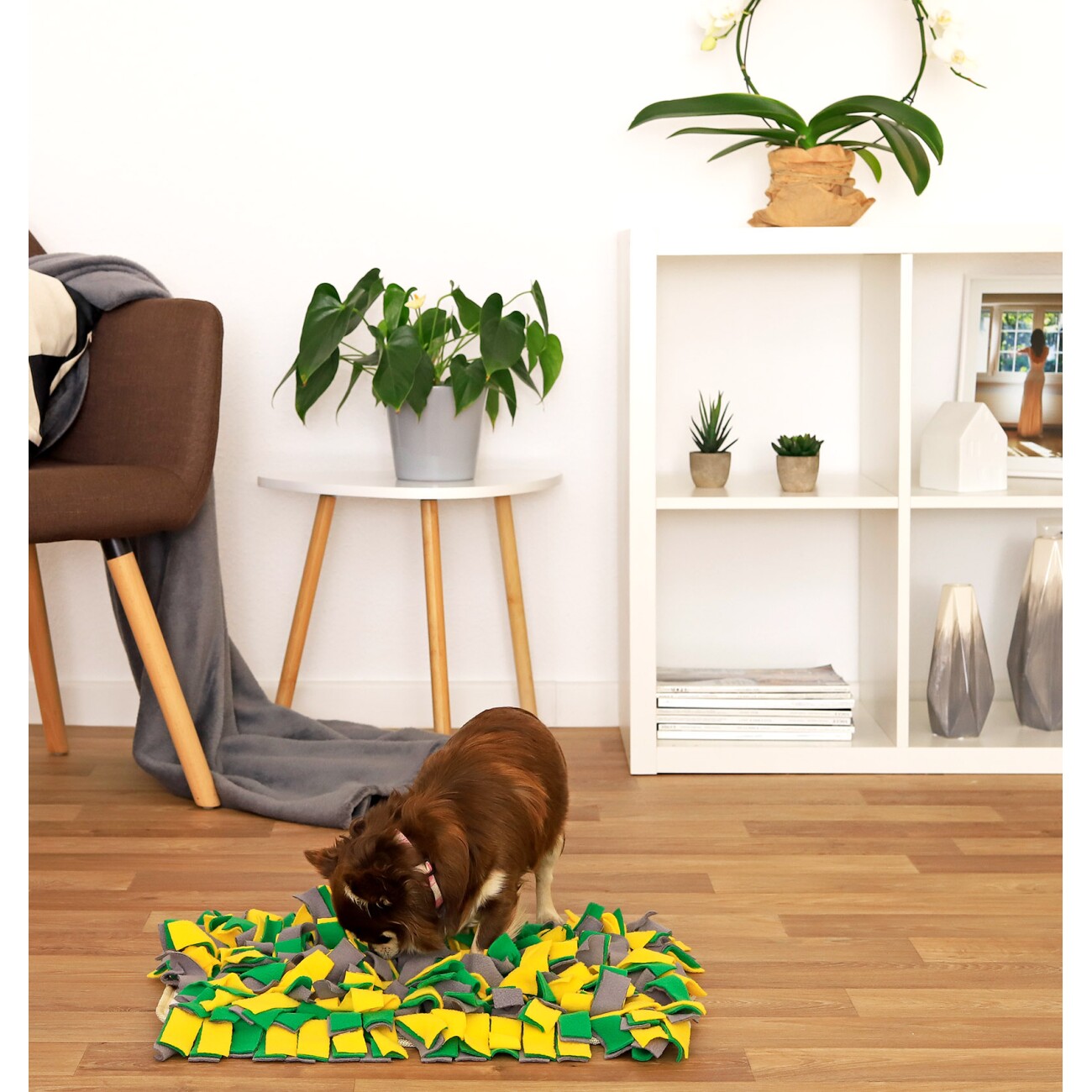Lionto Schnüffelteppich für Hunde gelb/ grün