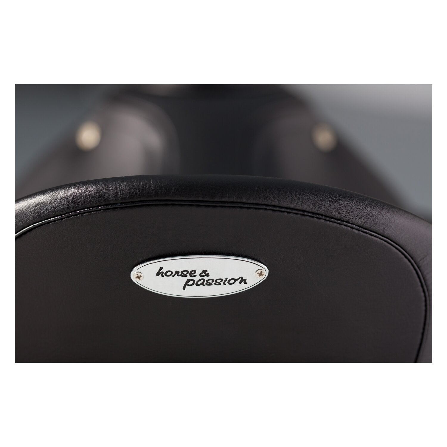 horse & passion Dressursattel Passion One  - schwarz - 17