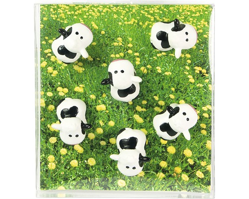 Decoratieve magneten koe, set van 6, wit/zwart